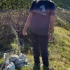 Mirsad